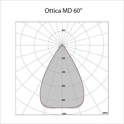 MD