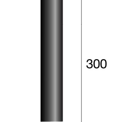 C300